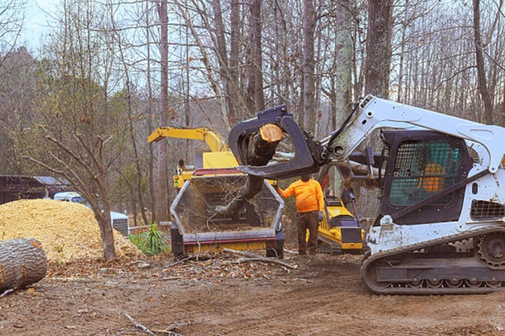 Residential property after professional tree removal with logs processed and the hazardous tree safely removed in Chesterfield, MO.