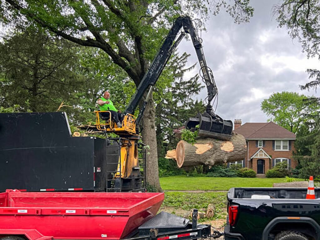 Professional tree removal crew using heavy equipment to safely lift and remove large tree sections during a residential tree removal project in Chesterfield, MO.