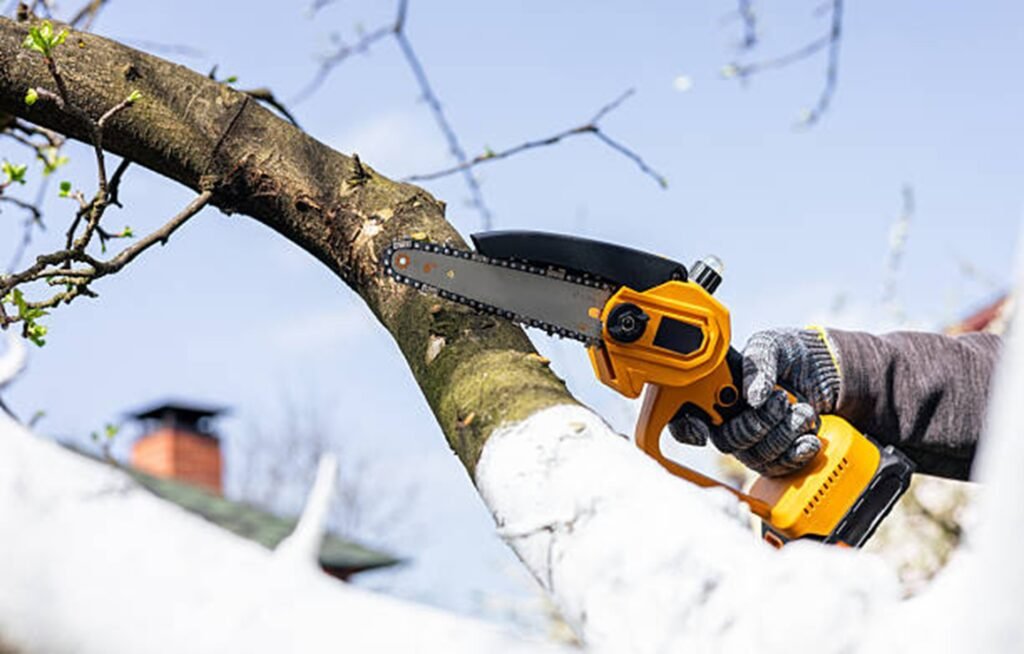Professional tree trimming specialist pruning a large tree branch with a chainsaw to improve tree health and safety in Chesterfield, MO.