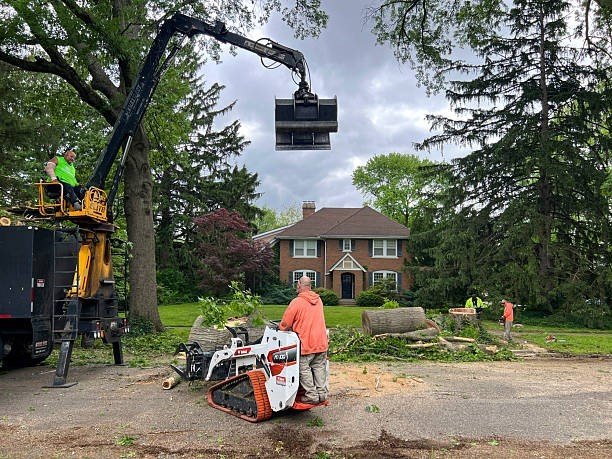 Professional tree care crew using heavy equipment to remove trimmed tree sections during a tree trimming and pruning project in Chesterfield, MO.