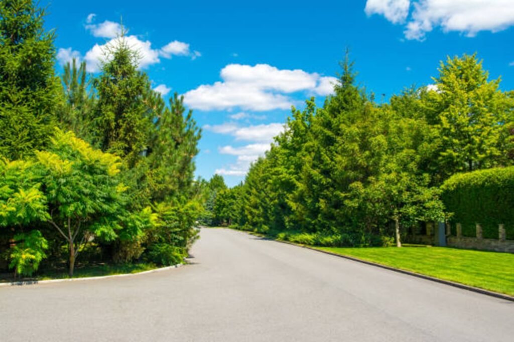 Beautiful tree-lined residential neighborhood representing the communities served by Chesterfield Tree Service throughout Chesterfield, MO.