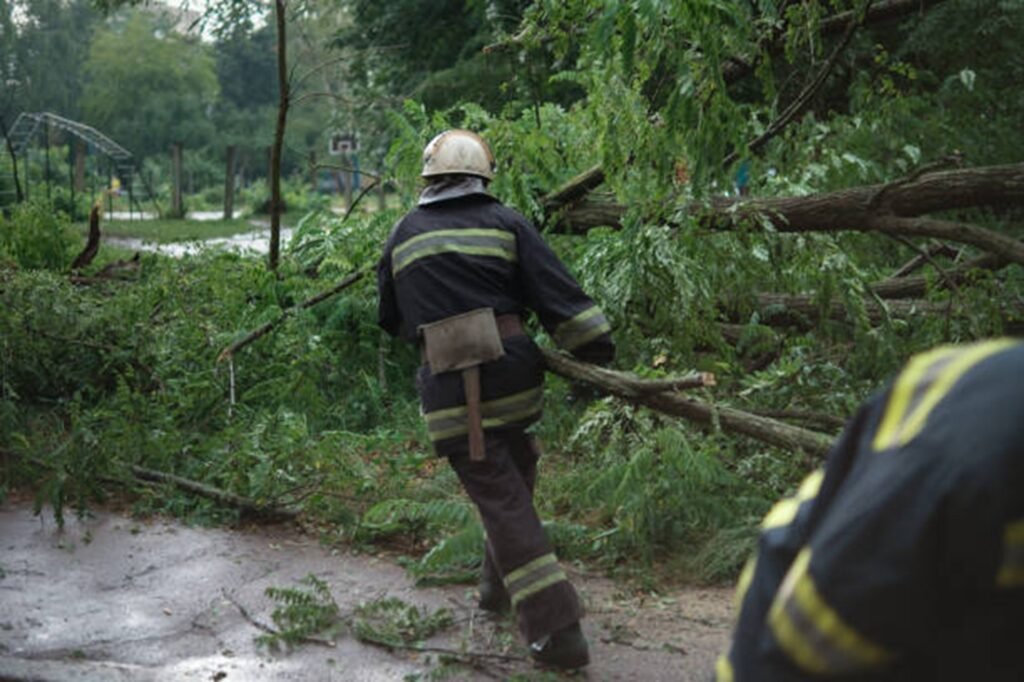 Professional crew clearing fallen trees and storm debris from a residential roadway during storm damage cleanup in Chesterfield, MO.