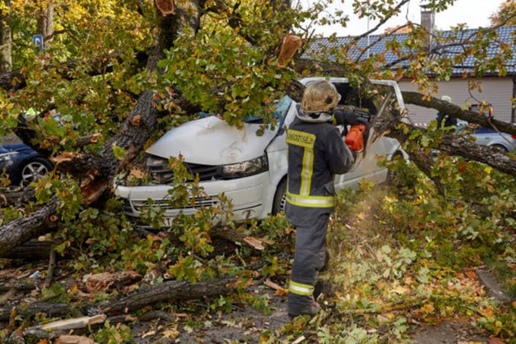 Emergency tree service crew removing a large fallen tree from a damaged vehicle after severe storm damage in Chesterfield, MO.