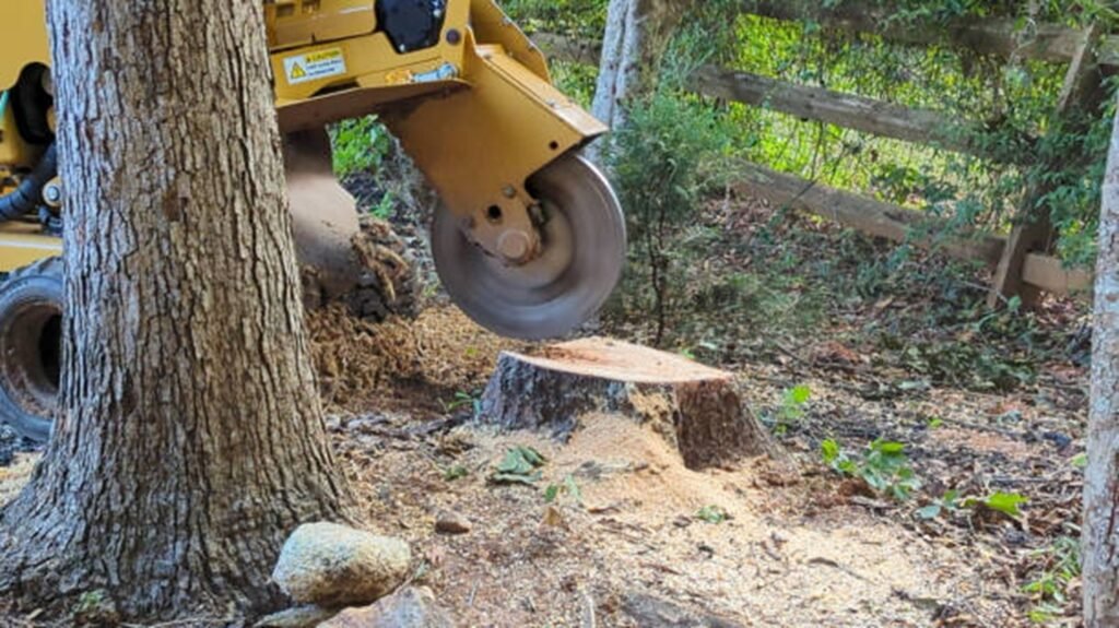 Commercial stump grinder removing a tree stump below ground level during professional stump grinding and removal service in Chesterfield, MO.