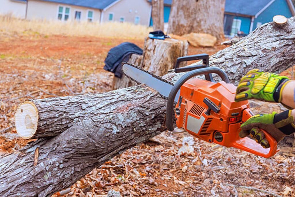 Professional chainsaw cutting through a fallen tree during emergency tree removal service at a residential property in Chesterfield, MO.