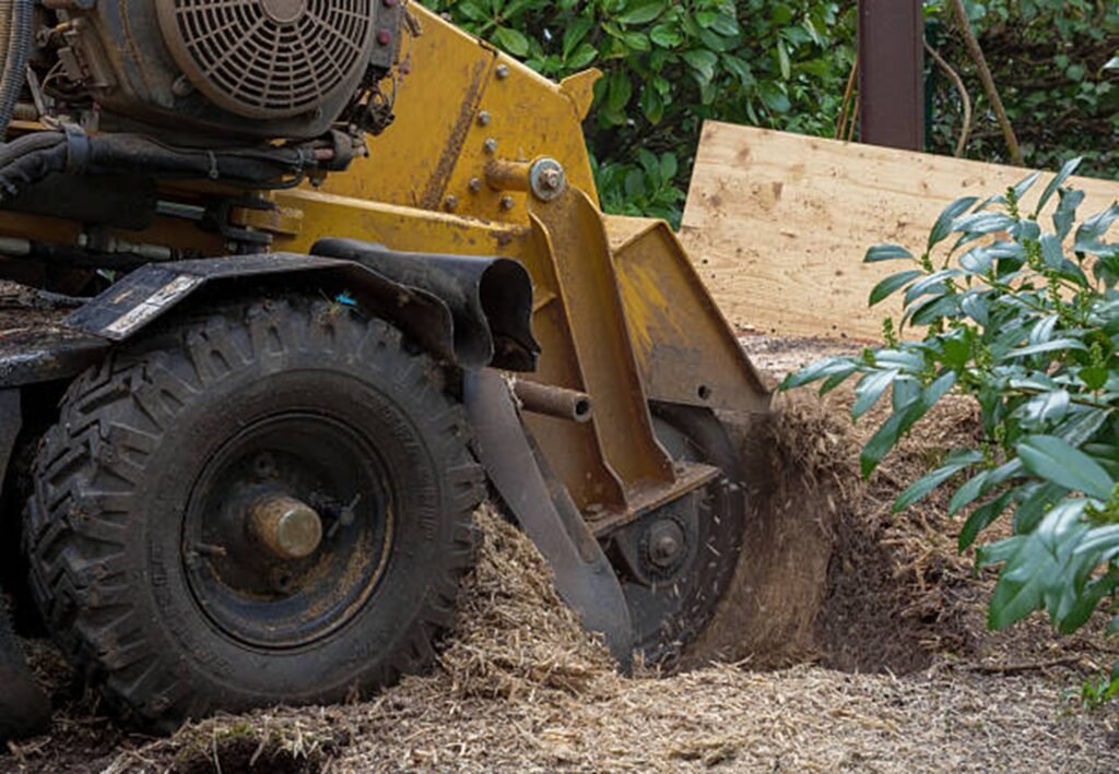 Professional stump grinding machine removing a tree stump from a residential yard during stump grinding and removal service in Chesterfield, MO.