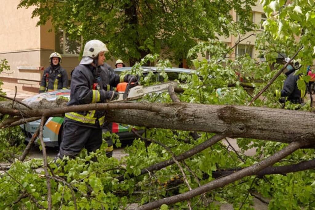 Emergency tree service crew safely cutting and removing a fallen tree blocking a residential street in Chesterfield, MO after severe storm damage.