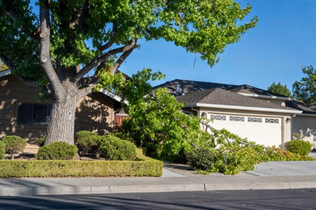 Storm-damaged tree with broken limbs blocking a residential driveway before professional storm damage cleanup in Chesterfield, MO.